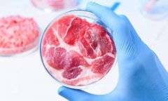 太空人造肉什么情况？快来了解一下